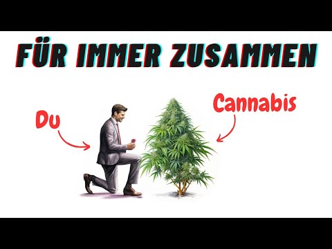 Mutterpflanzen, ReVeggen und Stecklinge - Wie erhalte ich meine Lieblingspflanze für immer? *