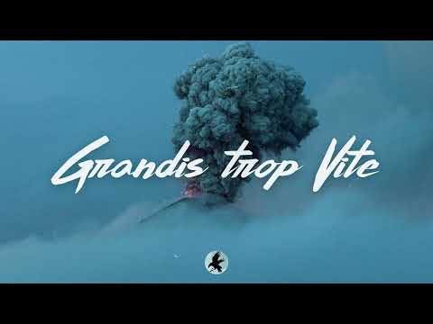 Dadju X Ninho Type Beat - "GRANDIS TROP VITE" (Instru Afro Guitars 2022)