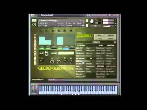 Free Download GECKO Kaleidoscope KONTAKT