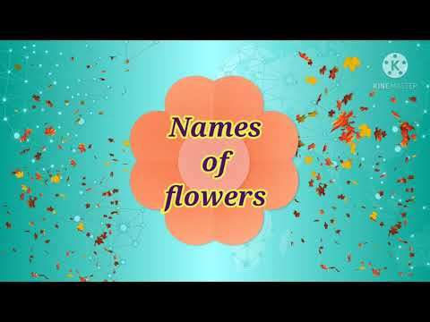 Names of flowers created by Arpana Parit.K.V.M.Takwde ,Shirol, Kolhapur