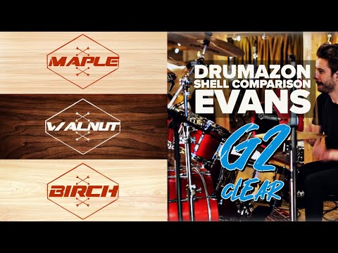 Evans G2 Clear Drum Head Shell Comparison - Maple | Birch | Walnut from Drumazon