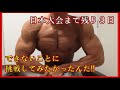 僕が日本大会に出る理由と減量話