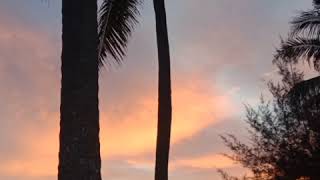 Download lagu Story WA 30 Detik (Nella Kharisma feat.Dory Harsa - Banyu moto) #storywa mp3