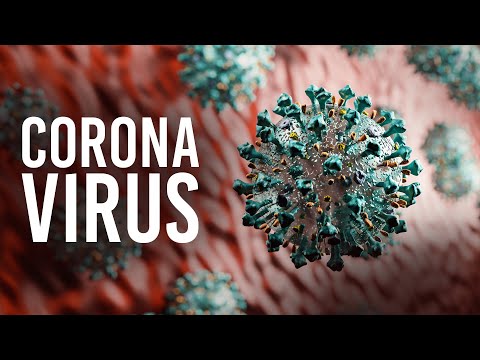 iCliniq video/presentation/materials