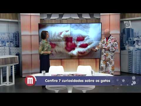 Mulheres - Mega Curioso (22/09/14)