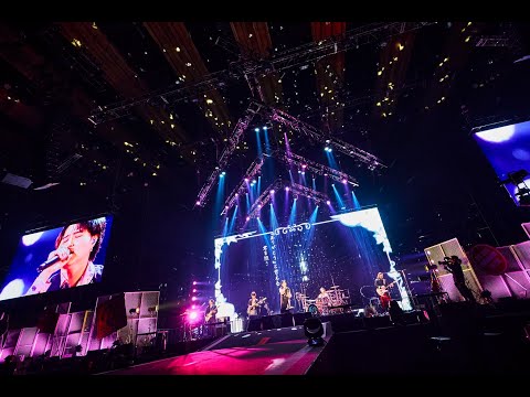 Novelbright - アイビー [Official Live Video]