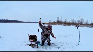 Блесны для ловли ротана зимой