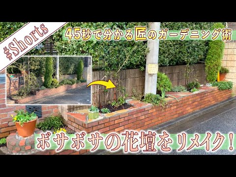 herbes aromatiques thym-jardin-cultiver