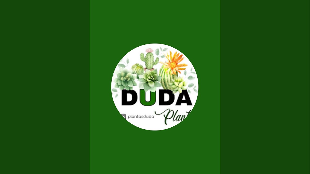 Duda Plantas Joinville está ao vivo!