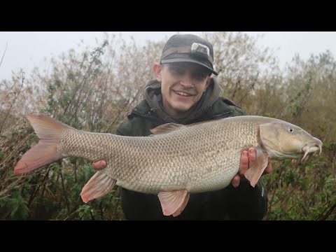 River Trent Barbel Fishing Vlogs Part 1 (HIGH FLOOD CONDITIONS!)