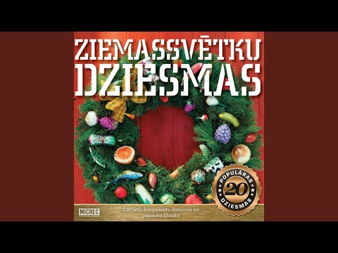 Balts sniedziņš snieg uz skujiņām