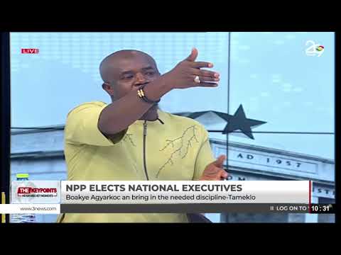 NPP Delegates Conference: ‘They Want Executives They Can Control’ - Edudzi Tameklo on NPP Race