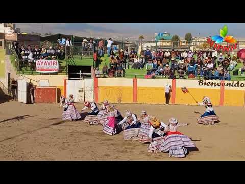 Danza WITITI/La danza del amor. En el Círculo Social La Unión Arequipa TardeTaurina estilo Ayaviri 