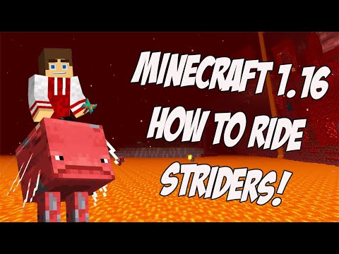 EthDo - How to Ride Striders in Minecraft