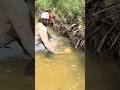 Monster Catfish was Deep in this Bank Hole‼️#noodling #handfishing