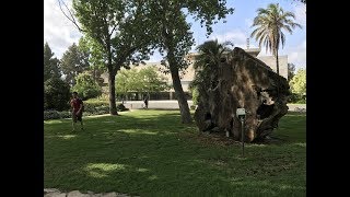 Bon plan #32 – Guivat Ram