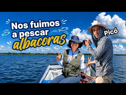 🇨🇺 Así es un día de pesca en la Ciénaga de Zapata, Cuba 🇨🇺 | Pesca de albacoras 🐟
