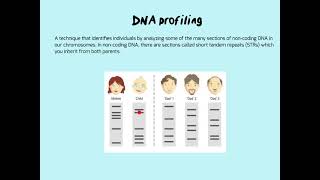 DNA profiling: how to answer questions on these diagrams