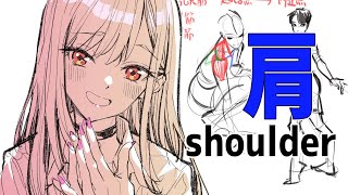- 上から見た肩って難しいですね・肩回りの筋肉解説 #275 朝ドロ season2 がんばらなくていい簡単クロッキー練習【初心者歓迎】