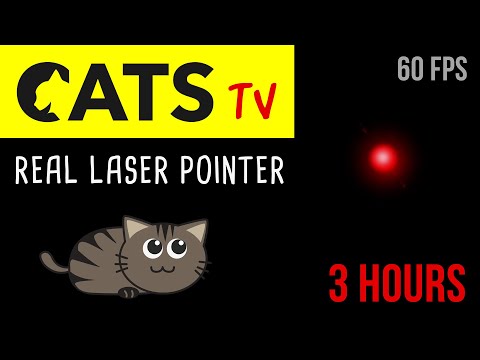 CATS TV - Real Laser Chaser 60FPS 🔴 - 3 HOURS (Video Game for Cats Only)