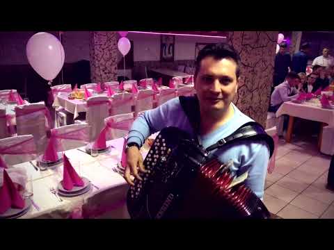 SPLET KOLA U GORNJEM MILANOVCU / LAVOVI / ZVONKO GAJIC / MILAN STRASNI