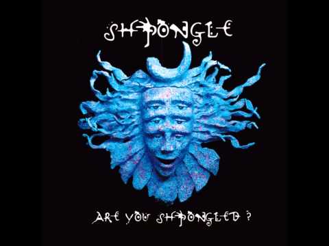 Shpongle - Are You Shpongled [Full album]