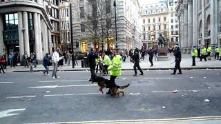 G20 protest London 2009 - Police dog bites man