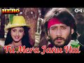 Tu Mera Jaanu Hai Tu Mera Dilbar Hai | Anuradha Paudwal | Manhar Udhas | Hero | 80's Hindi Songs