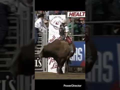 Chris Shivers rides Red Wolf for 93.5 points #pbr #rodeo #bullriding