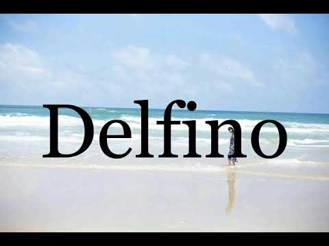 How To Pronounce Delfino🌈🌈🌈🌈🌈🌈Pronunciation Of Delfino