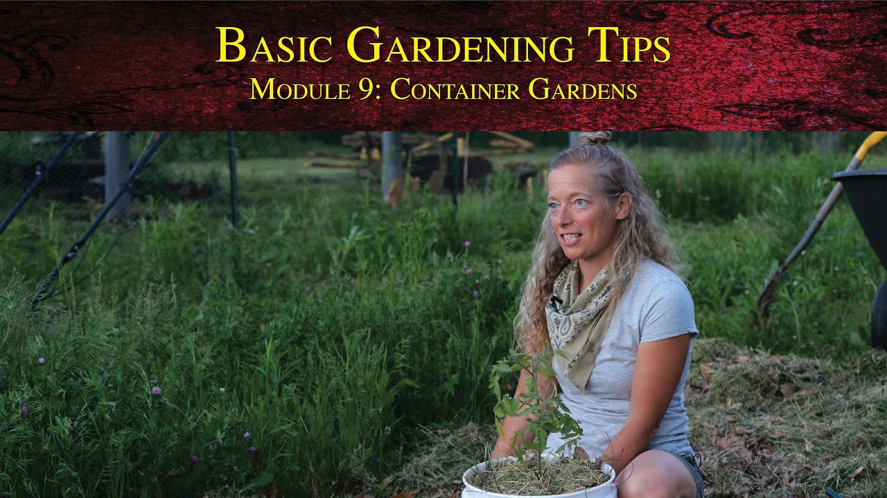 Basic Gardening Tips - Module 9: Container Gardens