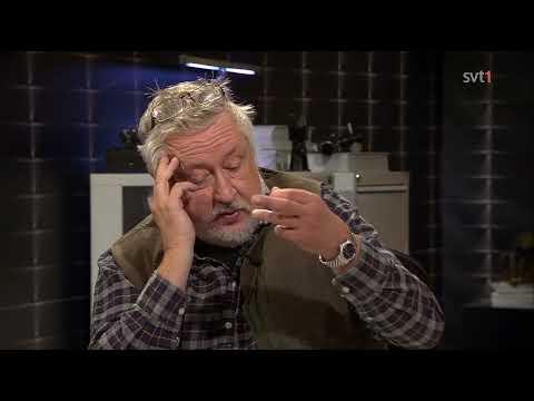 Veckans brott | S09E09 – Styckmordet i Askersund 2014 (SVT 2014)