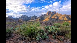 Cody Jinks - No Guarantees