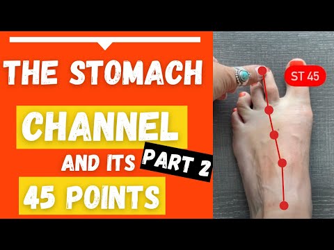 The Stomach Channel/Meridian Acupuncture Points Location & Functions (Part 2)