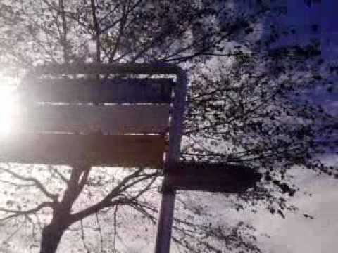 Postauto: Linie 71 Ausstieg in Obernau Stämpfeli