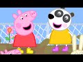 Peppa Pig Full Episodes New Compilation Kids Video