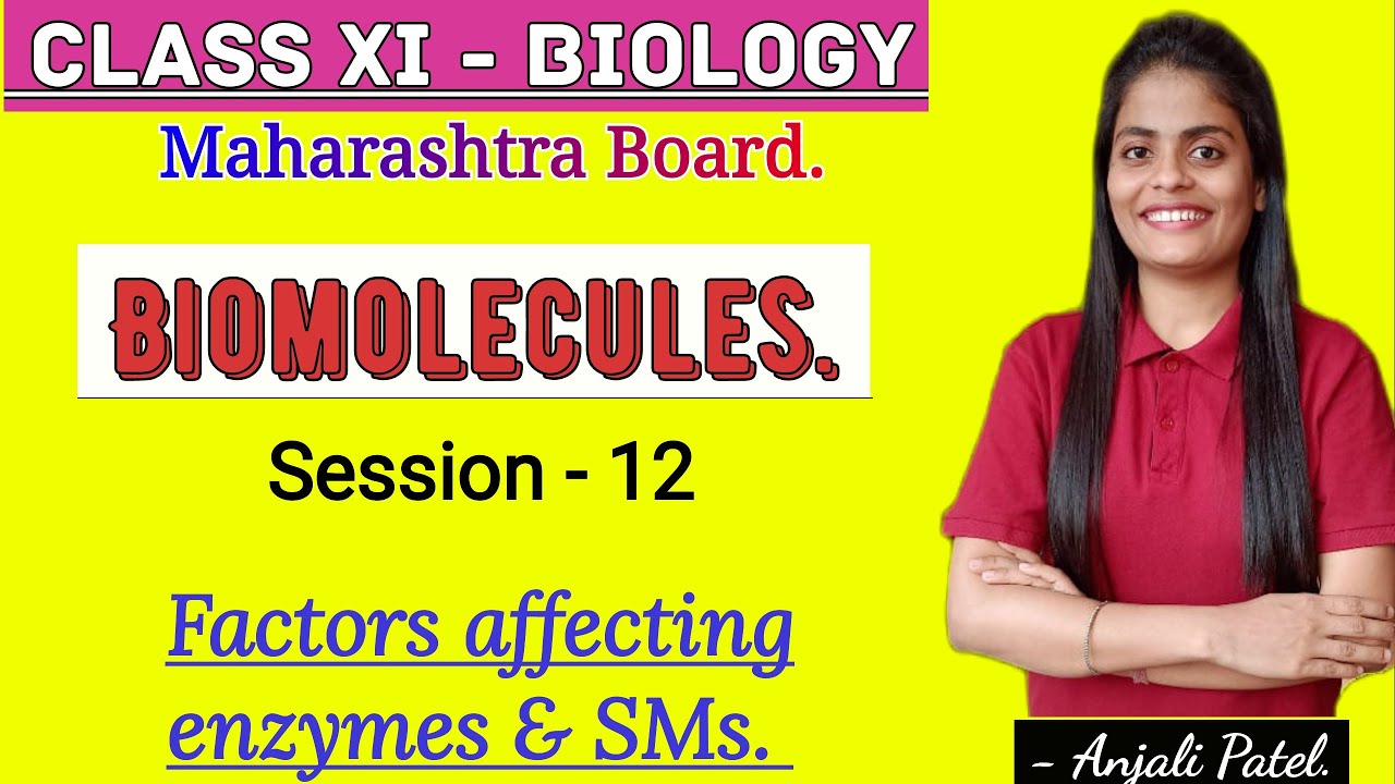 Class XI Biology - Biomolecules- Enzymes :Factors affecting enzyme activity & Secondary metabolites.