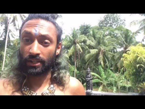 A DIARY OF A TANTRICORN: Chapter 5 - Bali Babes