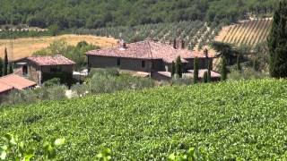 preview picture of video 'Capannelle azienda vinicola di Gaiole in Chianti (Siena)'