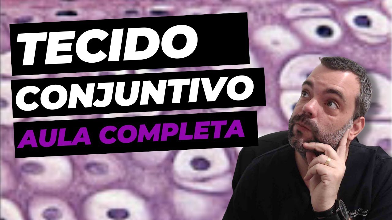 Tecido Conjuntivo - Aula Completa