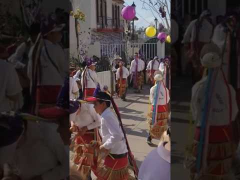 Danza Al Divino Preso Huejuquilla Jalisco #tradiciones #mexico