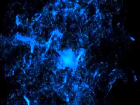 Textures VJ Loops & Visual Effects Clips [68]