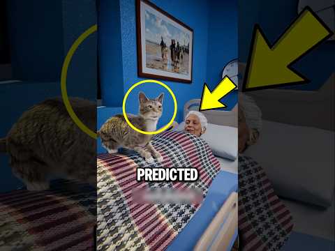 How Could This Cat Predict Patient Death!?😱