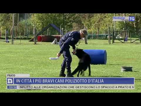 2017-10-07 NOTIZIE DI PRATO TG ORE 19.45