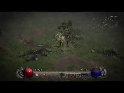 Diablo II PS4 Trophy Hc