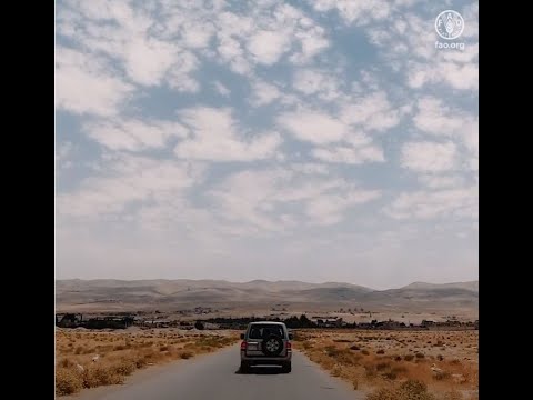 FAO Animal Health Vaccination Campaign Against PPR in Syria