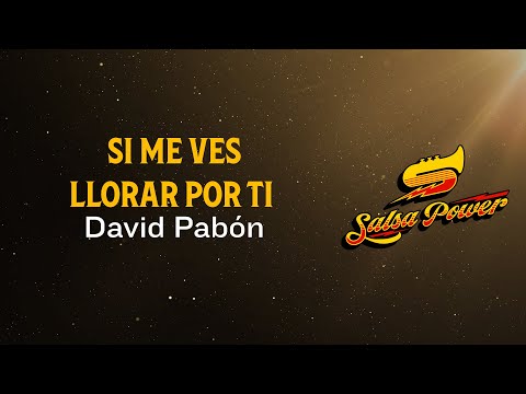 Si Me Ves Llorar Por Ti, David Pabón, Video Letra - Salsa Power