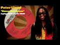 Peter Lloyd - Dance Hall Queen (Inphyniti Records) 1991 - Reggae Nineties (And Early 2000's) Peter Lloyd - Dance Hall Queen (Inphyniti Records) 1991