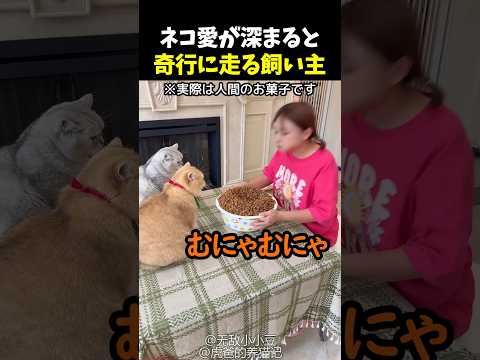ネコ愛が深まると奇行に走る飼い主