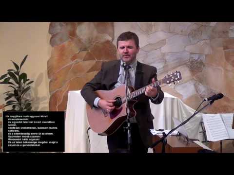 Ha napjában csak egyszer - Mike Sámuel